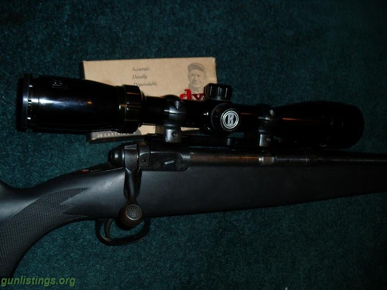 Rifles For Sale/Trade: Savage 110 .243 Win W/ Bushnell 4x12x40