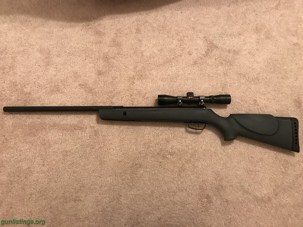 Rifles GAMO Big Cat 1200 W/scope