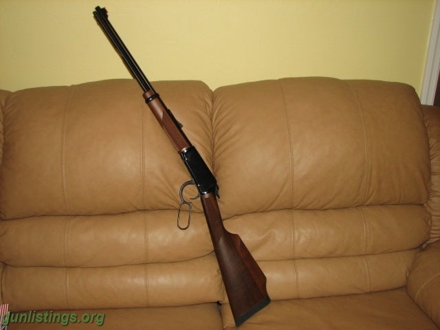 henry 17 hmr varmint express