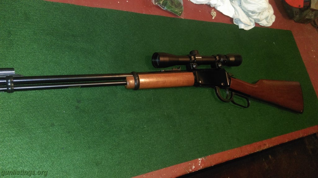 Rifles Henry 22 LR H001 With Bushnell Scope