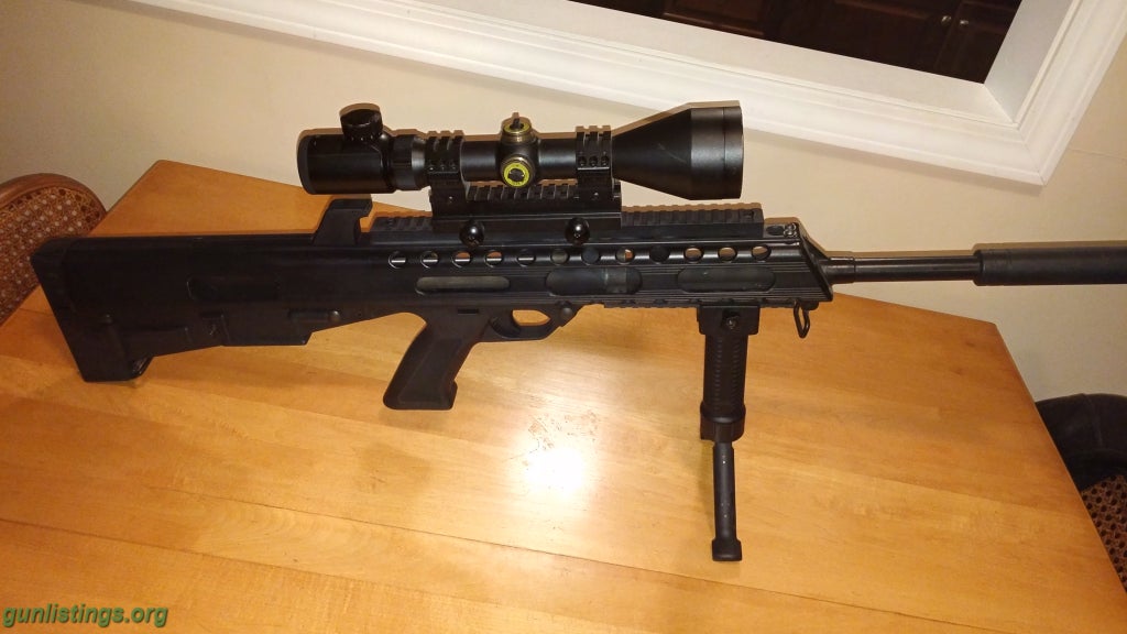 Gunlistings.org - Rifles M17S Bushmaster Custom