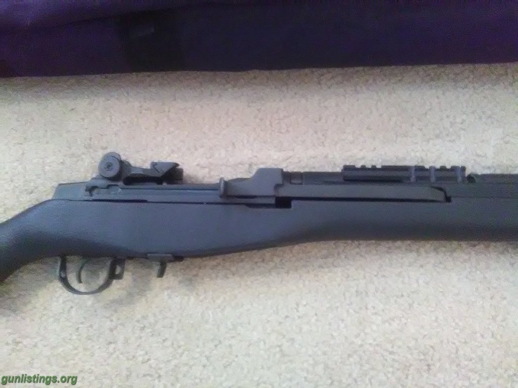 Rifles M1a