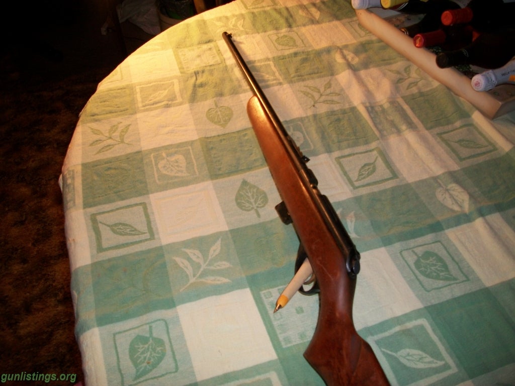 Rifles Marlin 22L