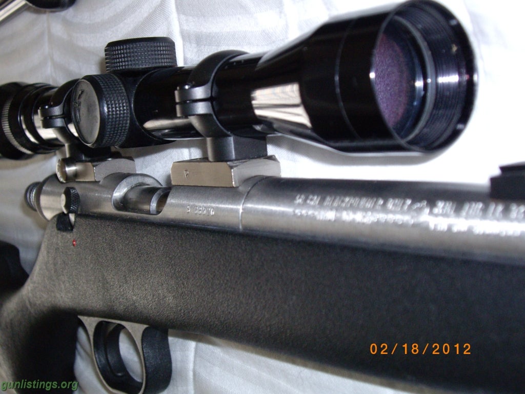 muzzle loader guns