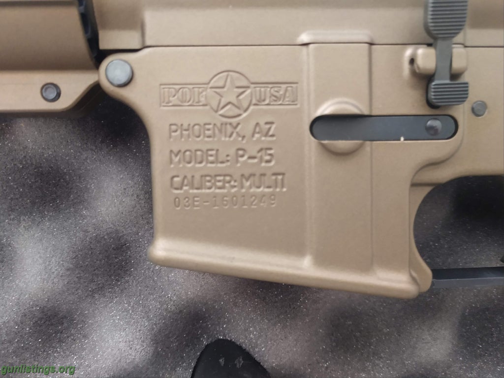 Rifles Patriot Ordnance Factory Renegade