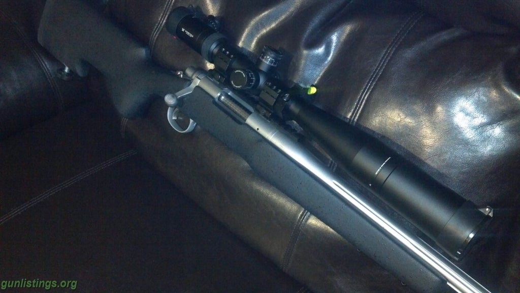 Rifles Remington 308