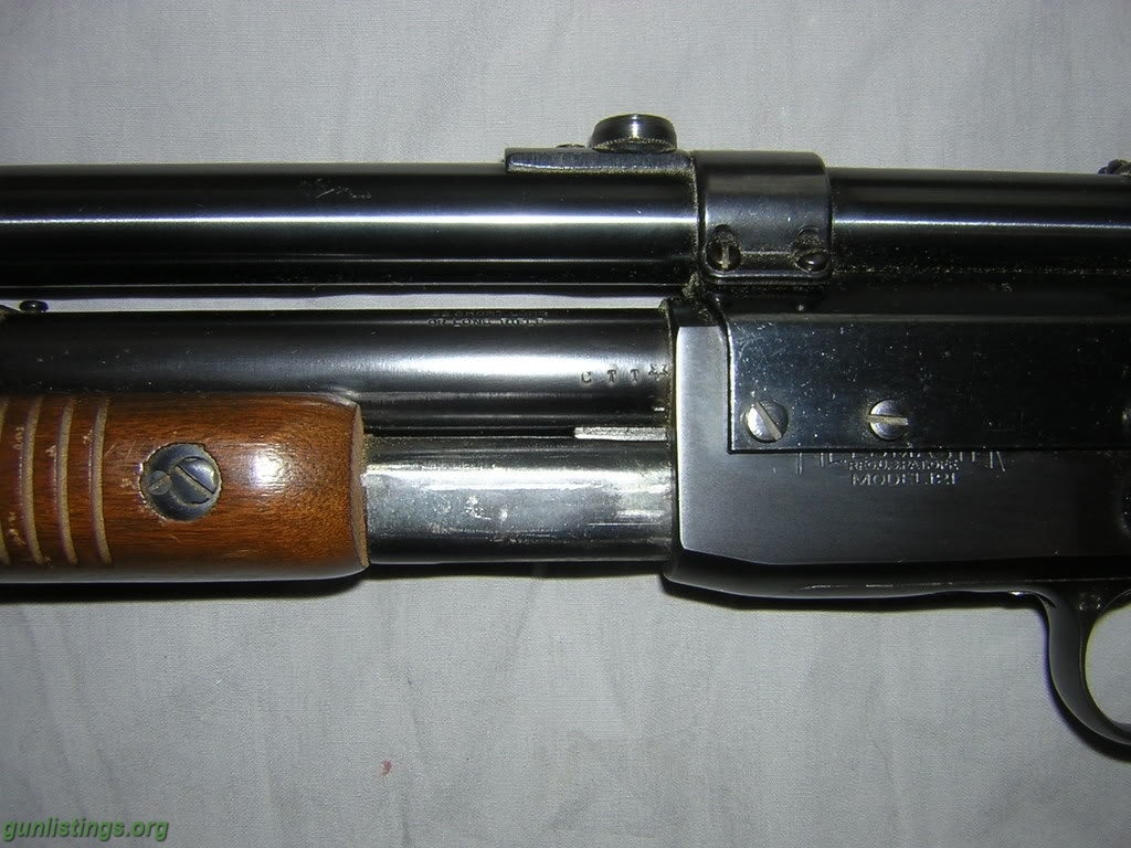 Gunlistings.org - Rifles Remington Model 141