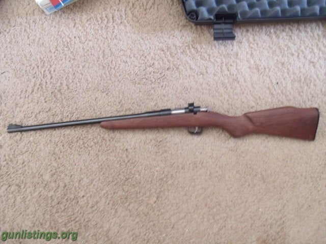 Gunlistings.org - Rifles Rogue Rifle Chipmunk 22 Single Shot