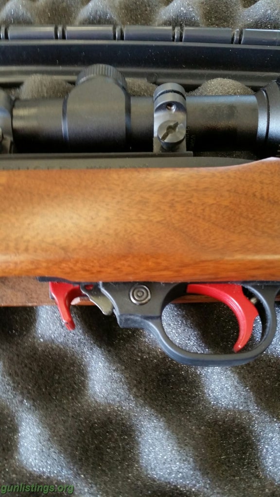 Rifles Ruger 10/22 - Hornet Custom Trigger