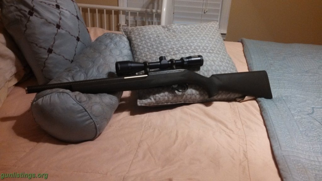 Rifles Ruger 10/22 Custom