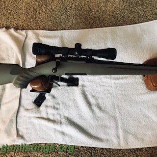 Gunlistings.org - Rifles Ruger American Rifle In 5.56 With Scope