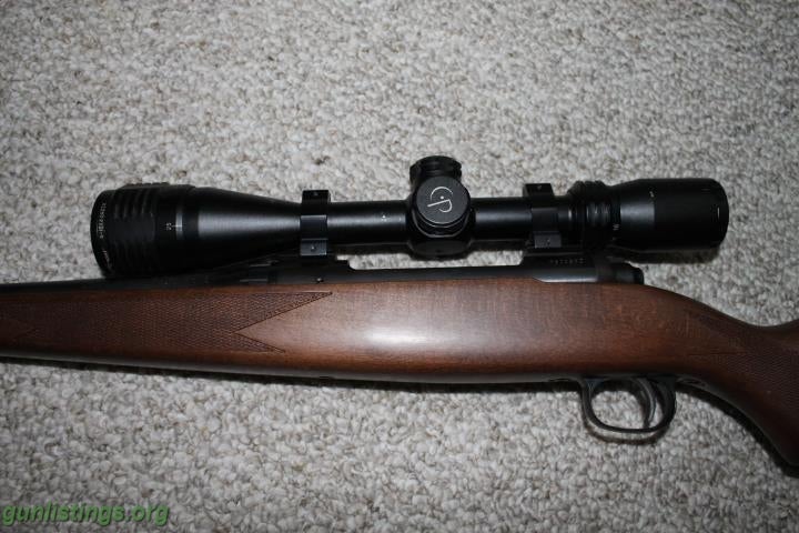 Rifles SAVAGE 110 WITH SCOPE 3006