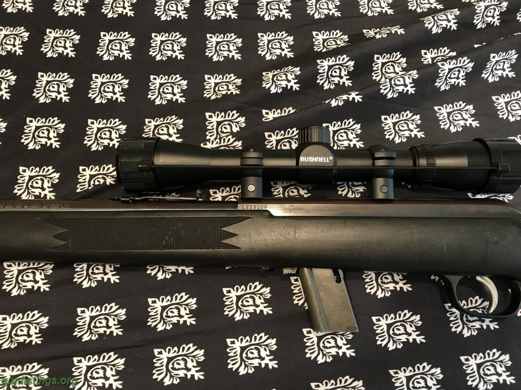 Rifles Savage 22lr