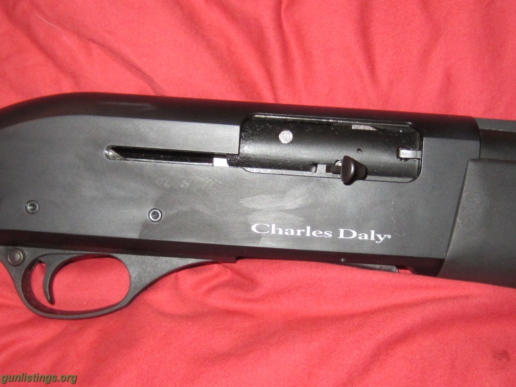 Shotguns CHARLES DALY 12 GAUGE AUTO