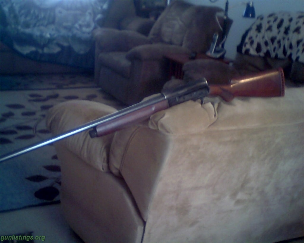 Shotguns Nice Bird Gun / 12ga Semi Auto