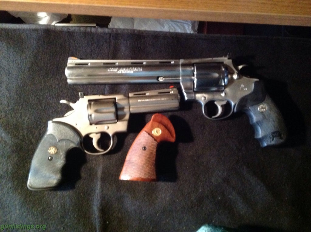 Shotguns Pair Of Colt Snakes