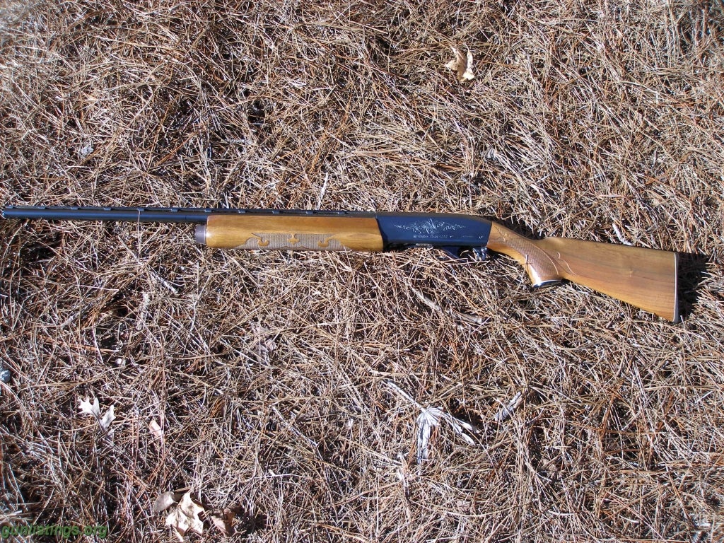 Shotguns Remington Model 1100 20ga Automatic Shotgun