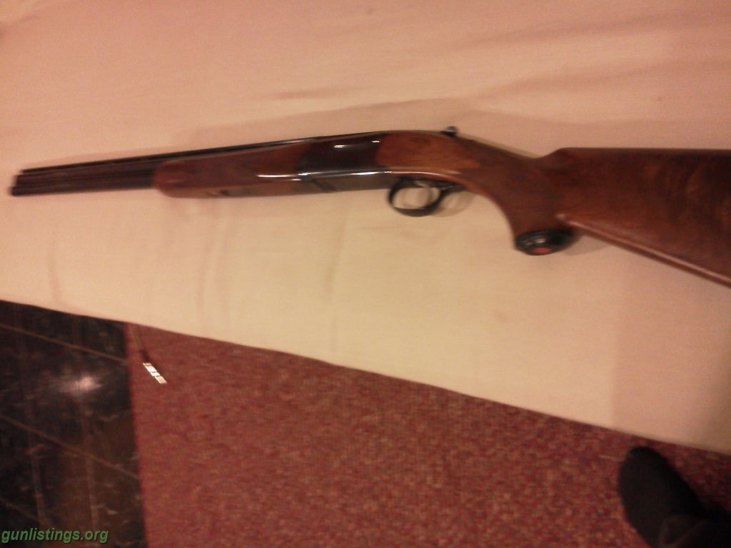 Shotguns RUGER RED LABEL 20GA BLUE