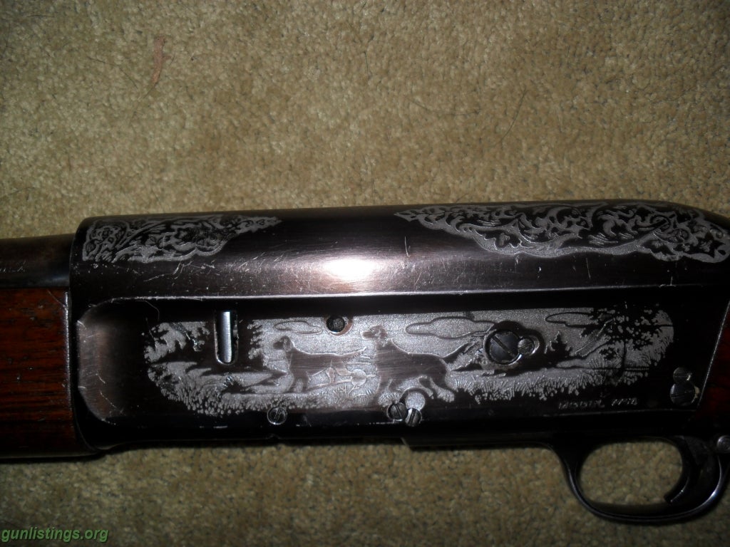 Shotguns Savage 16 Gauge Semi-auto Shotgun