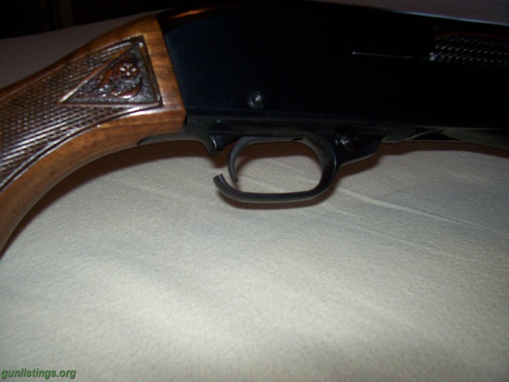 Shotguns Ted Williams 12ga. Semi-Auto Shotgun