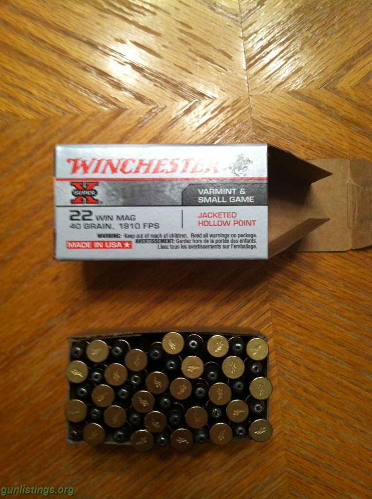 Ammo .22 Win Mag Hollow Point Ammo- 500 Rounds