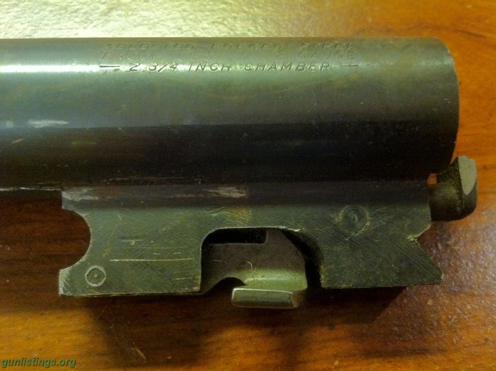 Misc Help Please: What Does This 12 Gauge Barrel Fit?