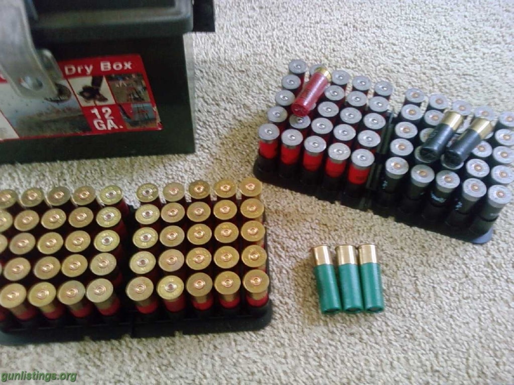 Shotguns .12g Winchester 870 Express Magnum + 106 Shells