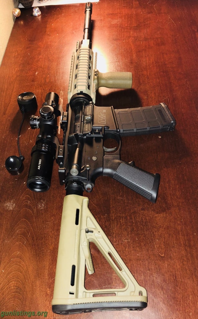Rifles AR15 Custom M&P15/bushnell Optic/magpaul/tan