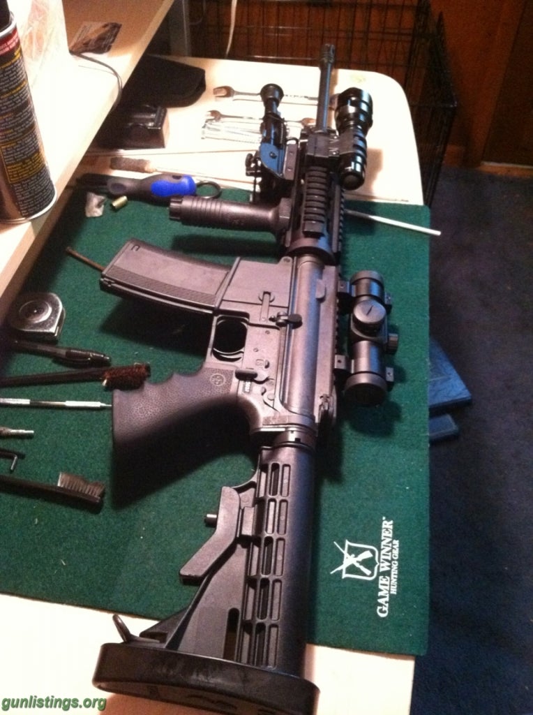 Rifles Bushmaster AR15 