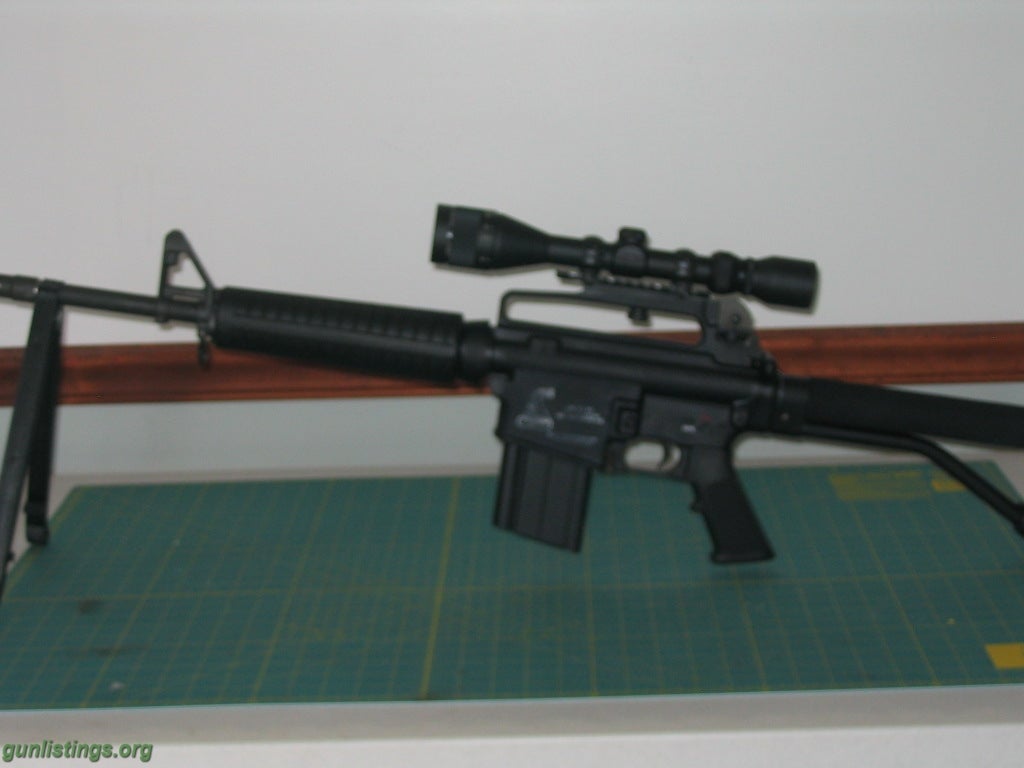 Rifles BUSHMASTER AR 10 (308)