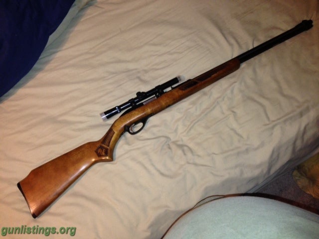 Rifles Glenfield 60 W/Squirells & Original Glenfield 4x Scope