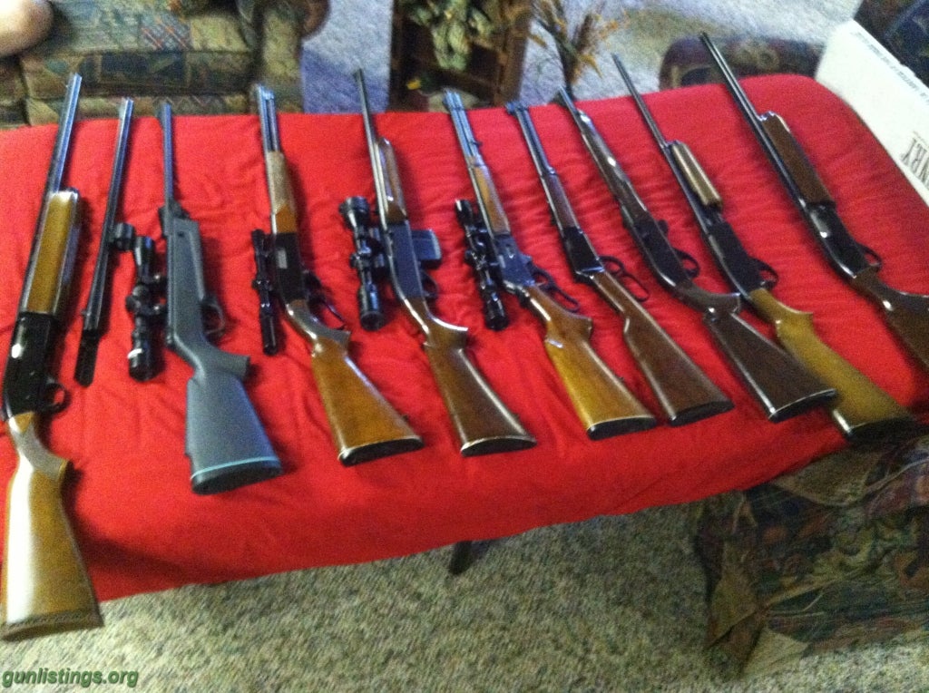 Gunlistings.org - Rifles Gun Collection (9 Guns)