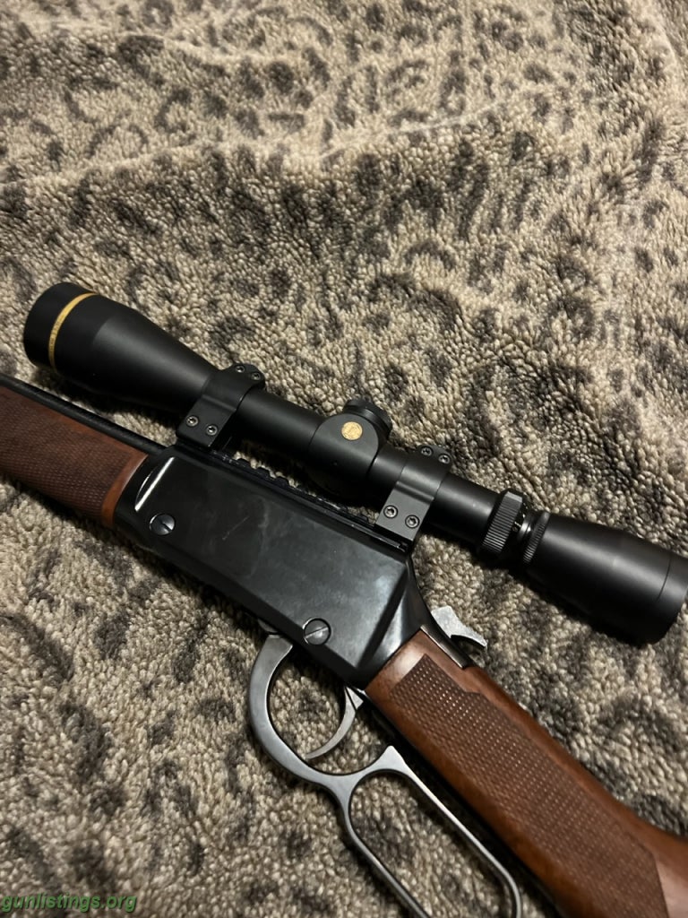 Gunlistings.org - Rifles Henry Express 22 Magnum