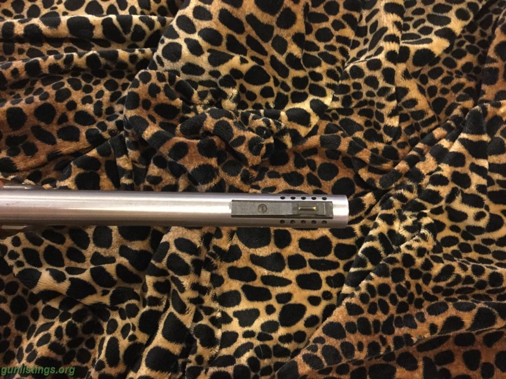 Gunlistings Org Rifles Marlin Govt Stainless Guide Gun