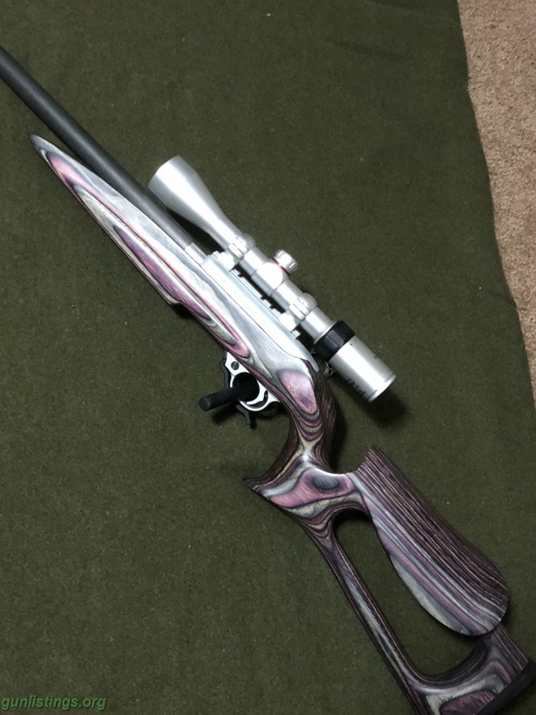 Rifles Ruger 10/22 .17 Mach 2 Conversion