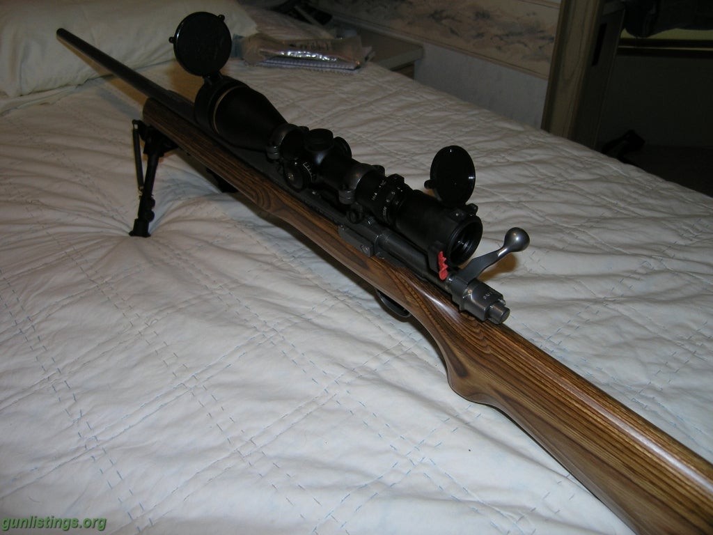 Rifles RUGER M77 MKII .204