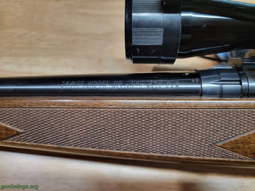 Rifles Savage Model 110 .243 Win. - Wood Stock