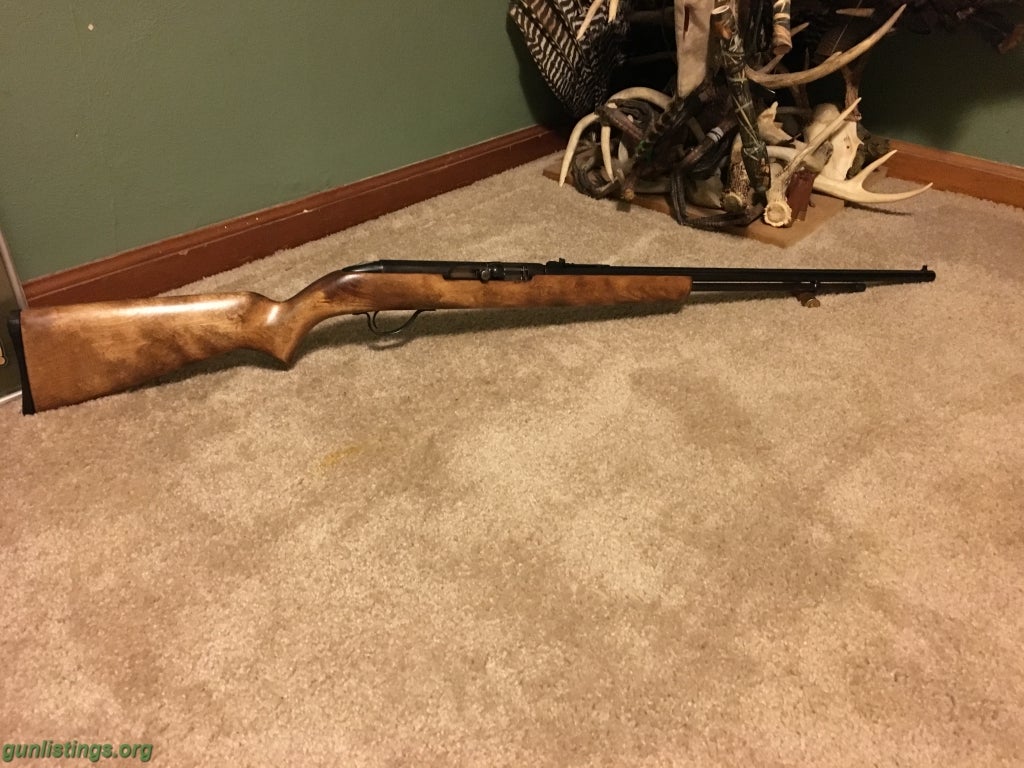 Rifles Springfield 22LR Semi Automatic