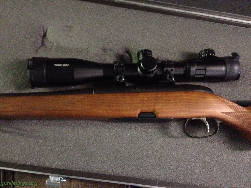 Rifles Steyr Classic Mountain Rifle (.270) +ammo/case