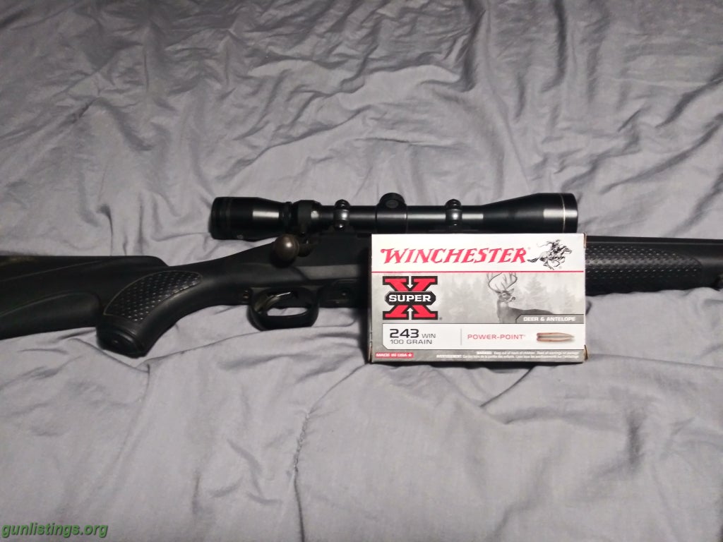 Rifles Winchester 243