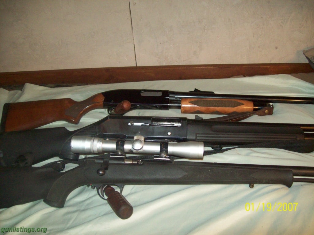 Shotguns Guns For Sale.