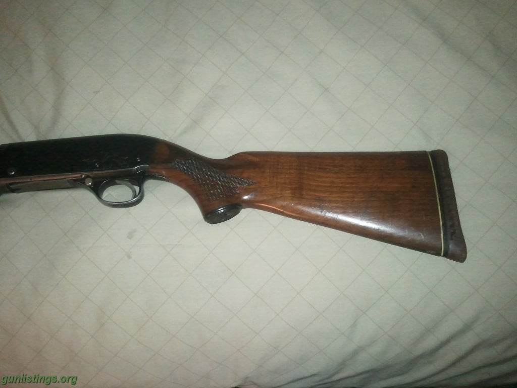 Shotguns Hi  Standard ,model 200 ,12  Auto