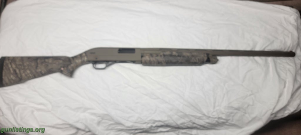 Shotguns Winchester SXP 12 Gauge